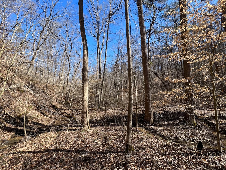 Hunting Tract with Additional Build Lot