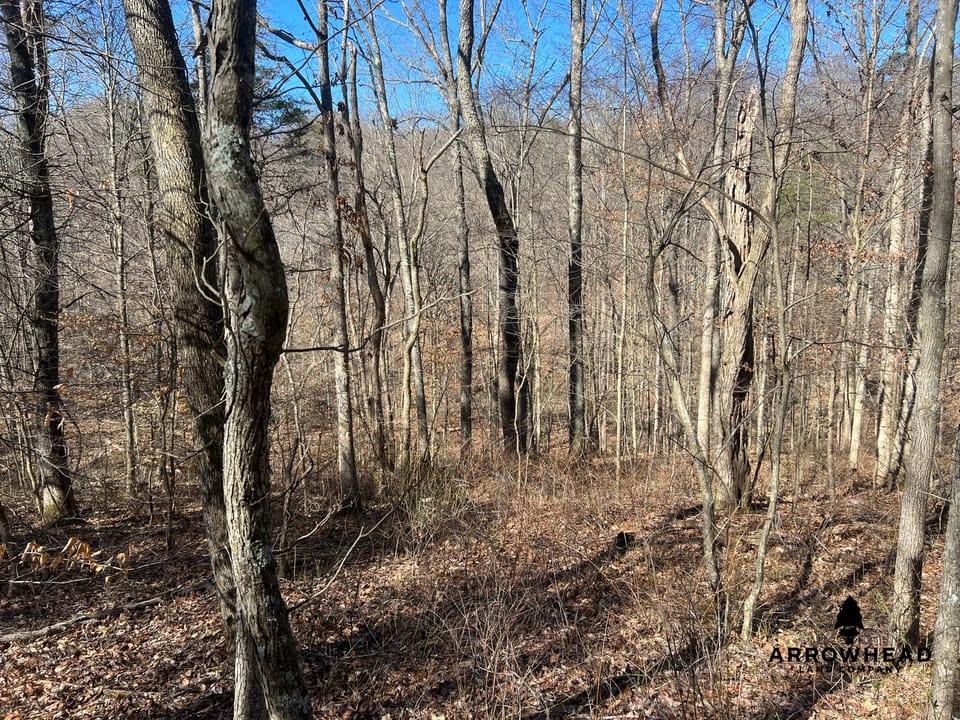 Hunting Tract with Additional Build Lot