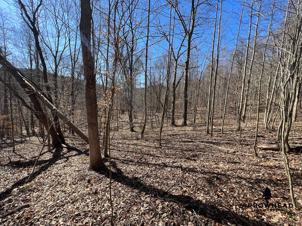 Hunting Tract with Additional Build Lot