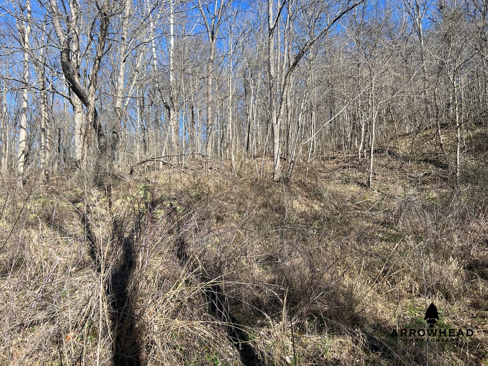 Hunting Tract with Additional Build Lot