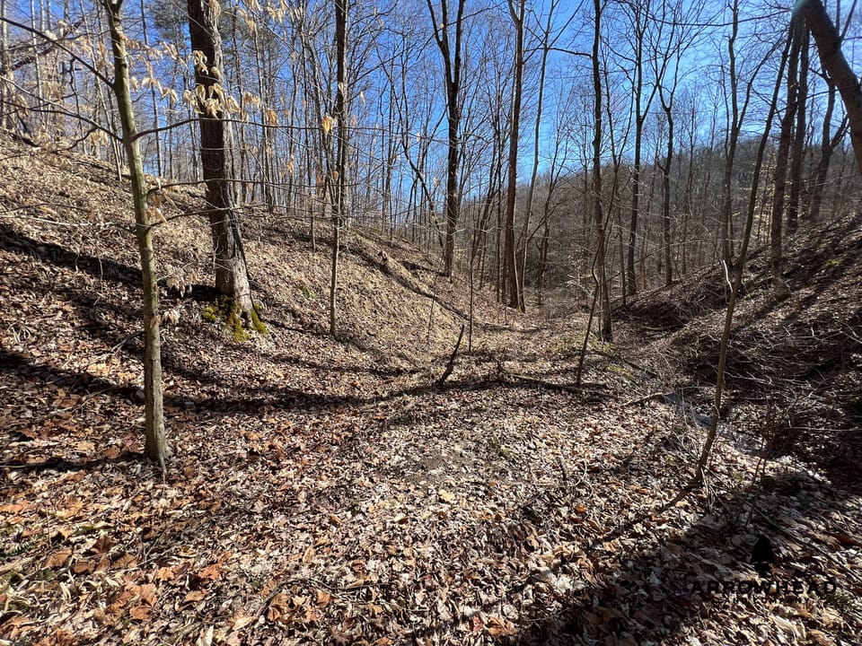 Hunting Tract with Additional Build Lot