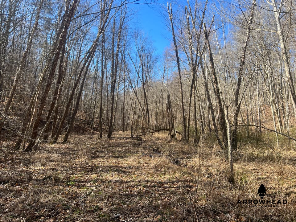 Hunting Tract with Additional Build Lot