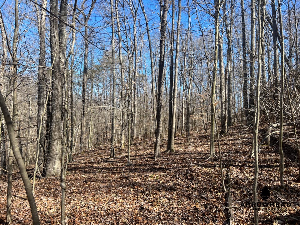 Hunting Tract with Additional Build Lot