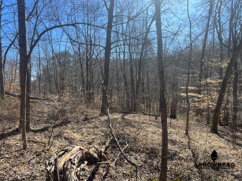 Hunting Tract with Additional Build Lot