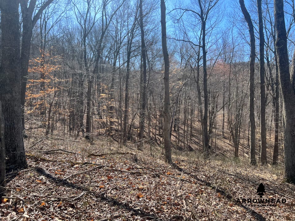 Hunting Tract with Additional Build Lot