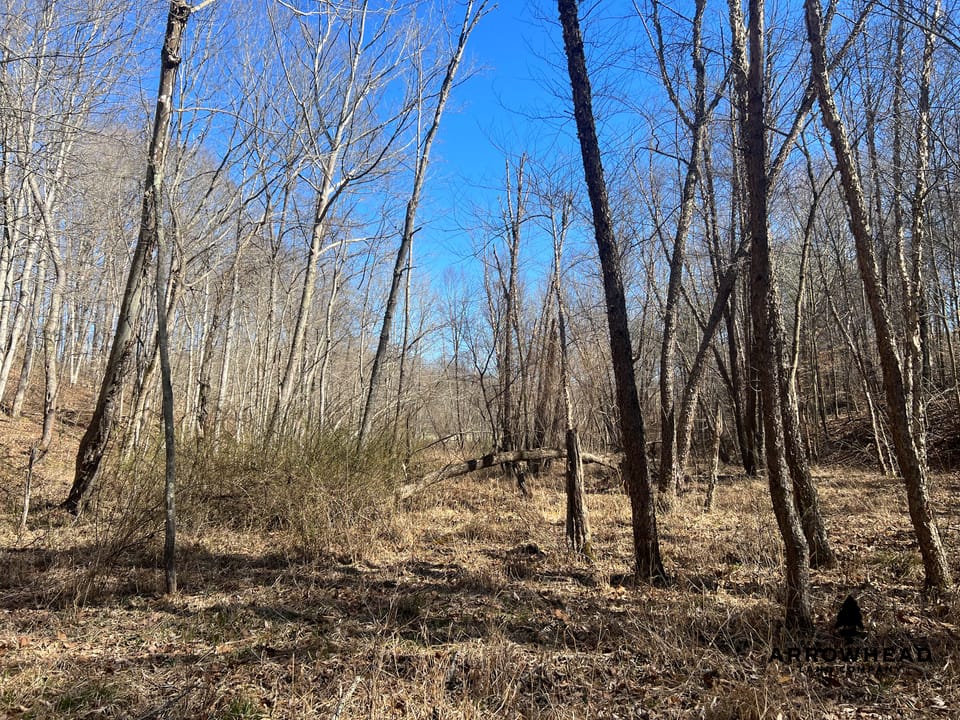 Hunting Tract with Additional Build Lot