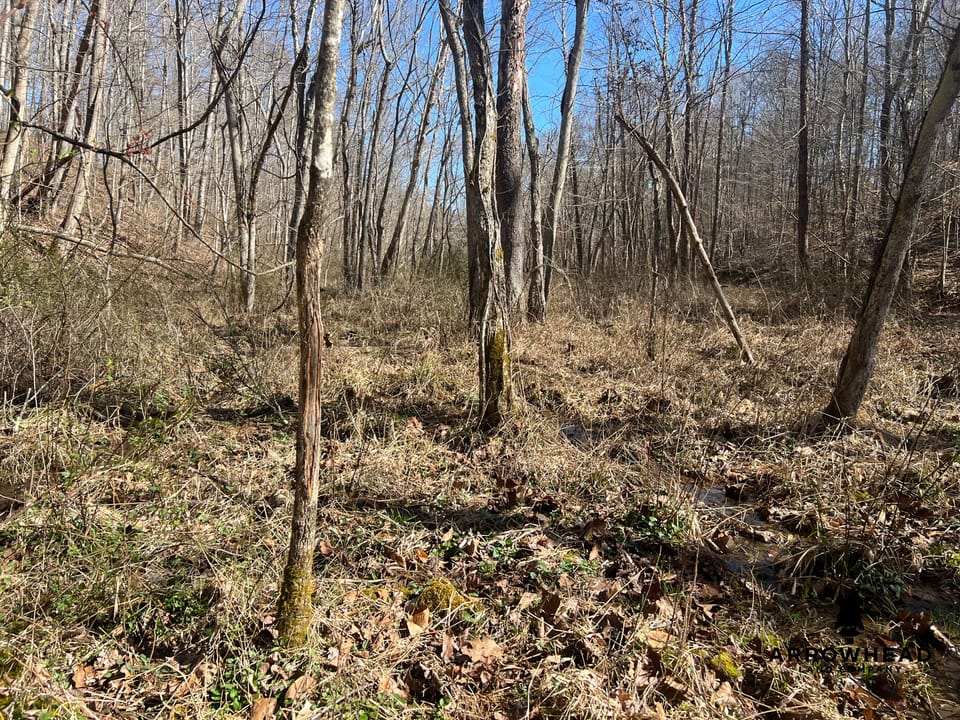 Hunting Tract with Additional Build Lot