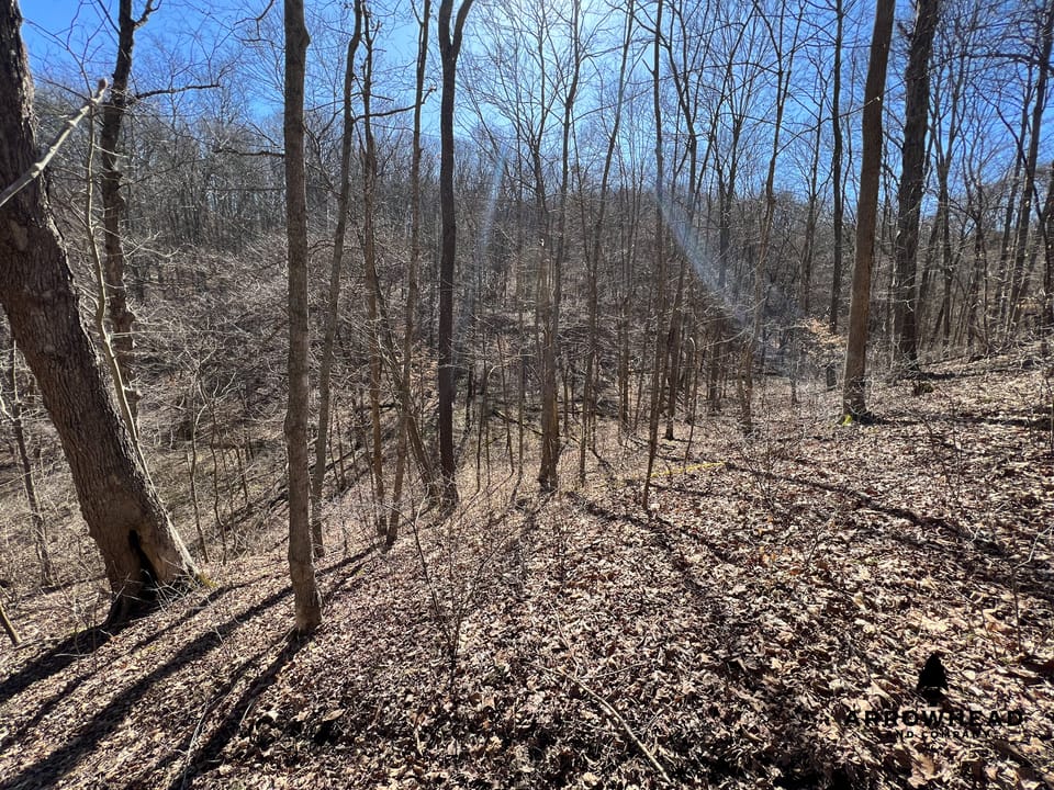 Hunting Tract with Additional Build Lot