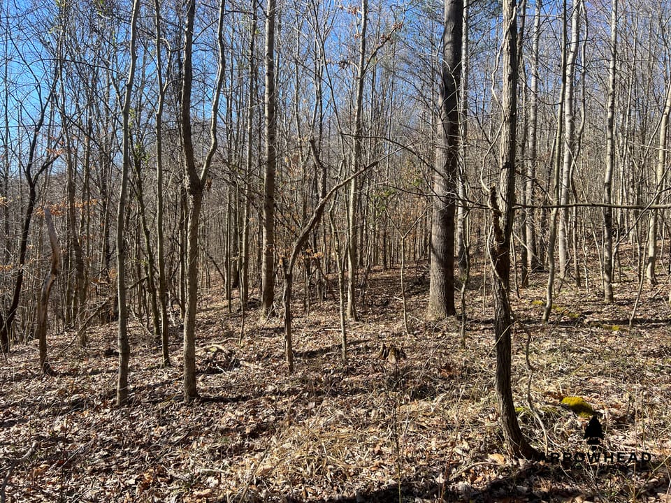 Hunting Tract with Additional Build Lot