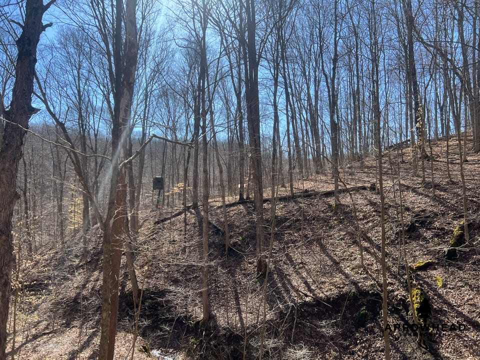Hunting Tract with Additional Build Lot