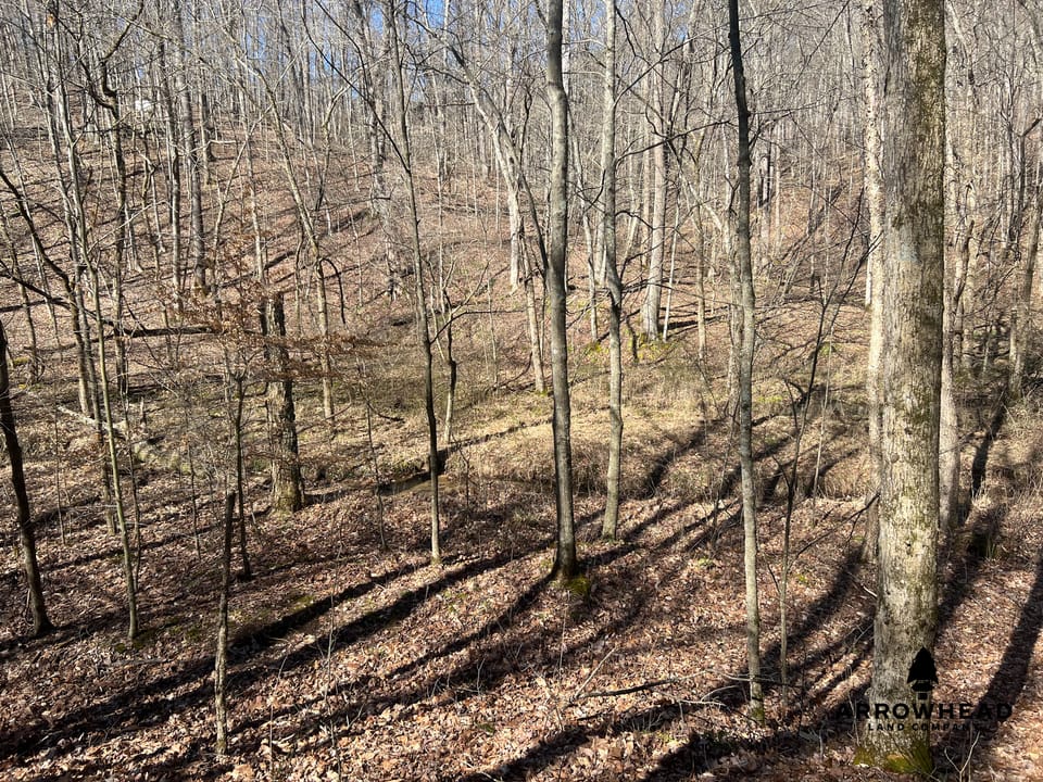 Hunting Tract with Additional Build Lot