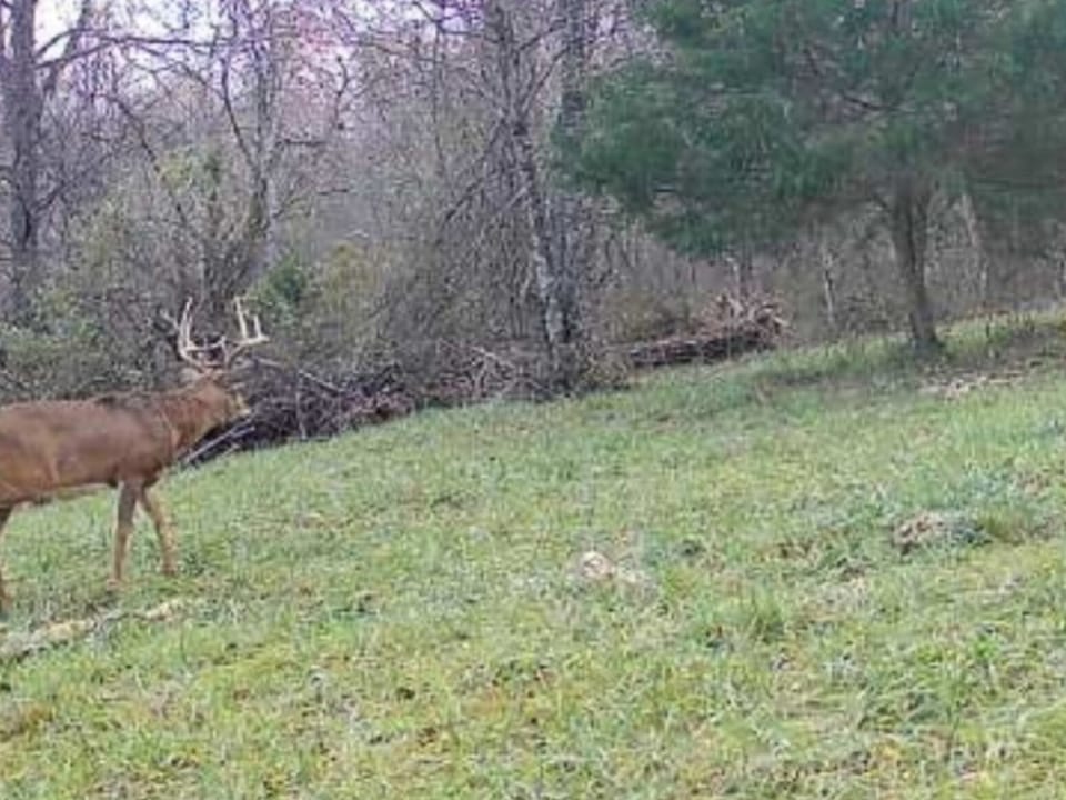 Turn-Key Hunting Farm