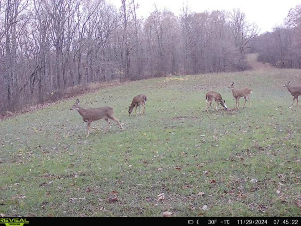 Turn-Key Hunting Farm