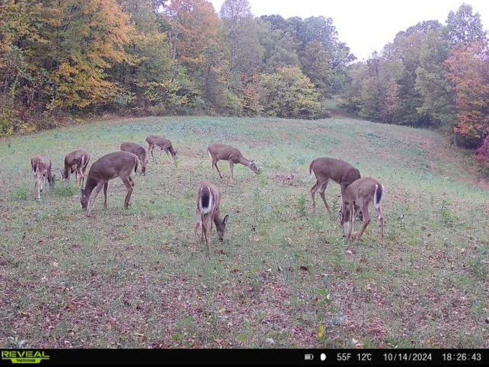 Turn-Key Hunting Farm