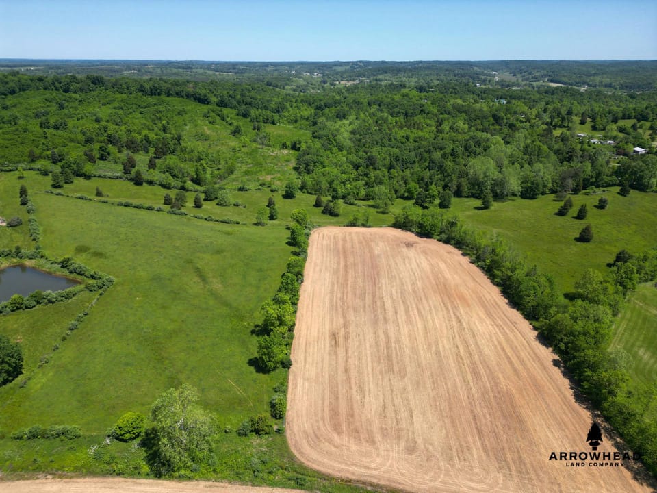 Investment, Farming, and Hunting Land!