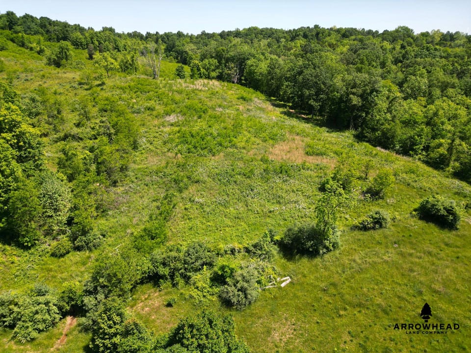 Investment, Farming, and Hunting Land!
