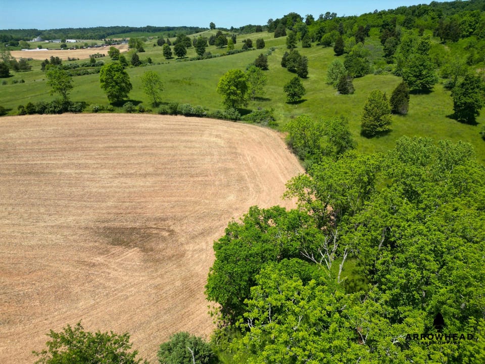 Investment, Farming, and Hunting Land!