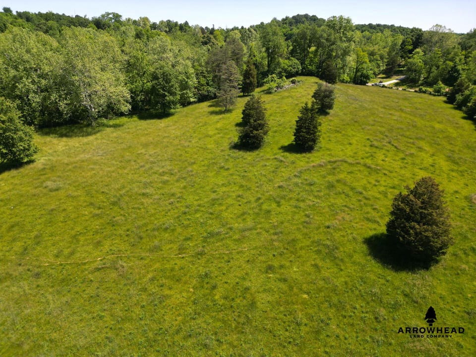 Investment, Farming, and Hunting Land!