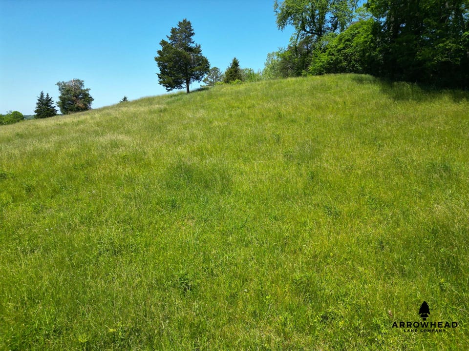Investment, Farming, and Hunting Land!