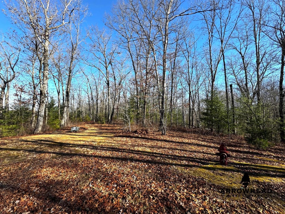 Big South Fork Airpark Property