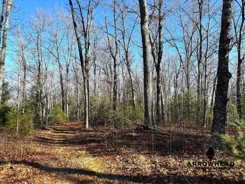 Big South Fork Airpark Property