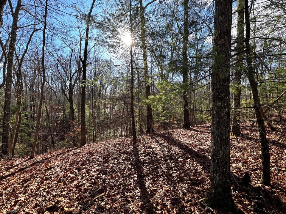 Big South Fork Airpark Property