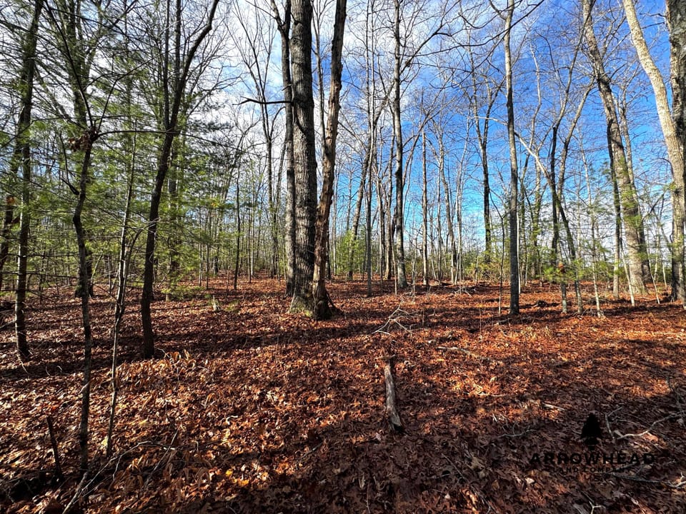 Big South Fork Airpark Property
