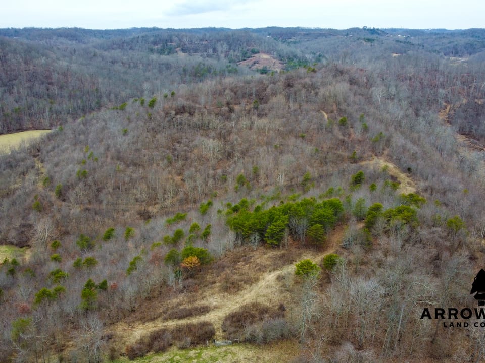 Yellow Creek Farm