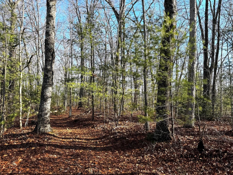 Big South Fork Airpark Property