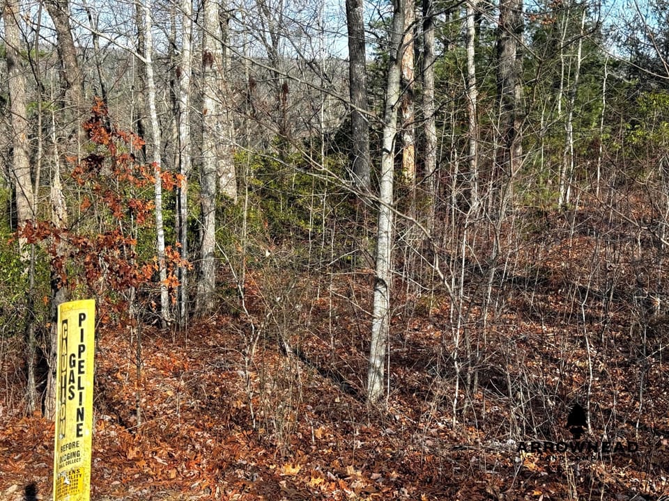 Big South Fork Airpark Property