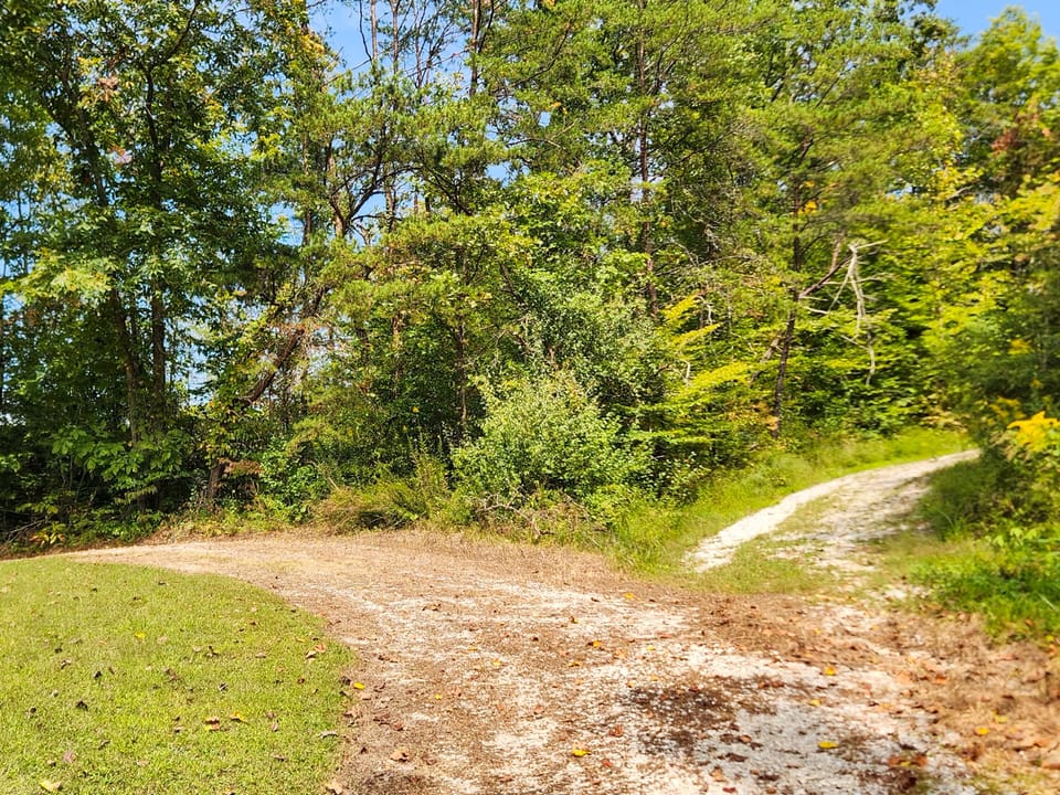 Buffalo Road Property