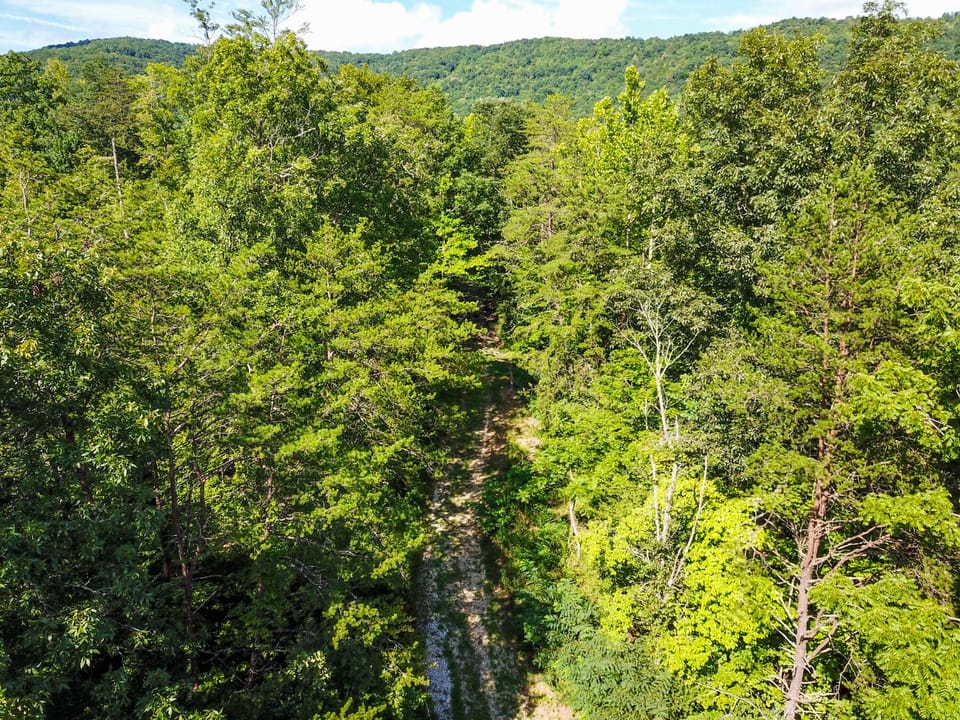 Buffalo Road Property