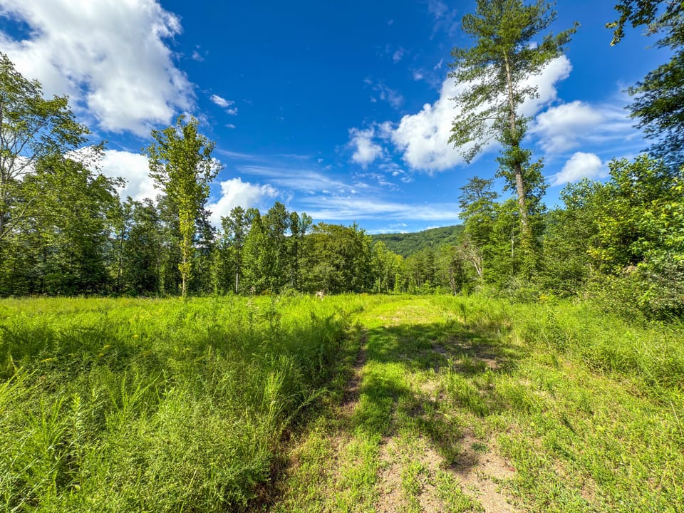 Buffalo Road Property