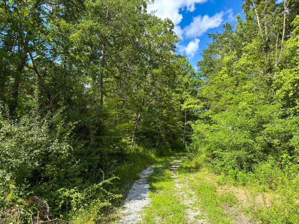 Buffalo Road Property