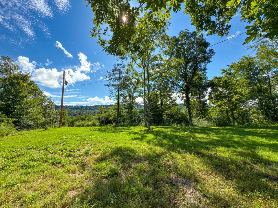 Buffalo Road Property