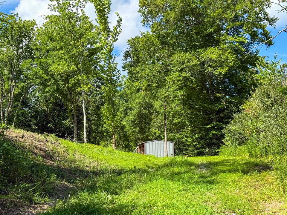 Buffalo Road Property