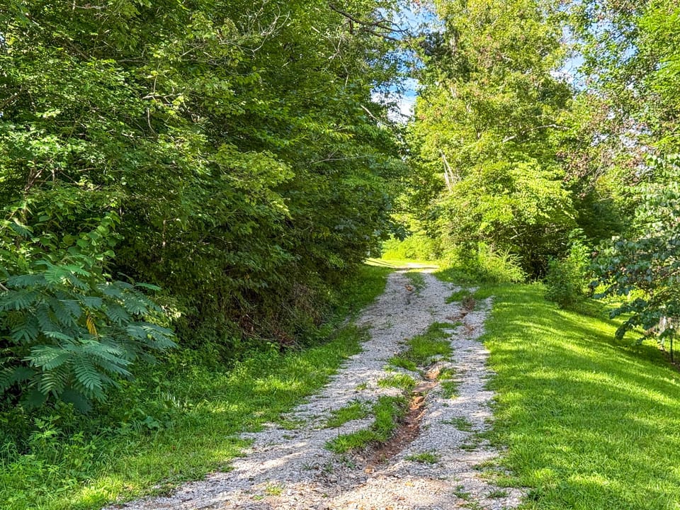 Buffalo Road Property