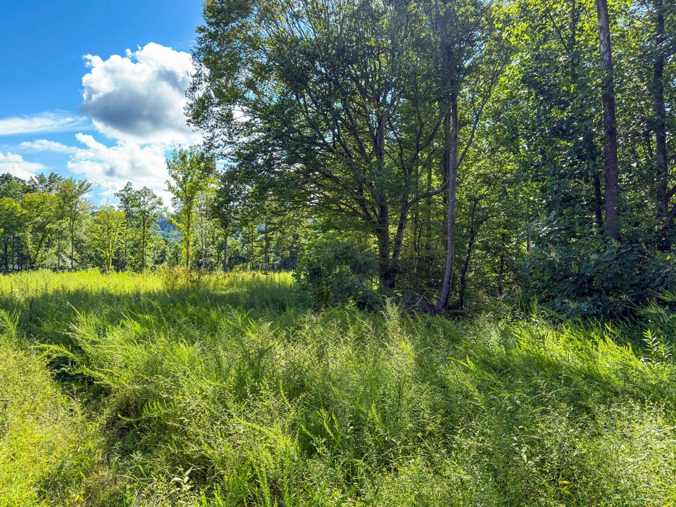 Buffalo Road Property