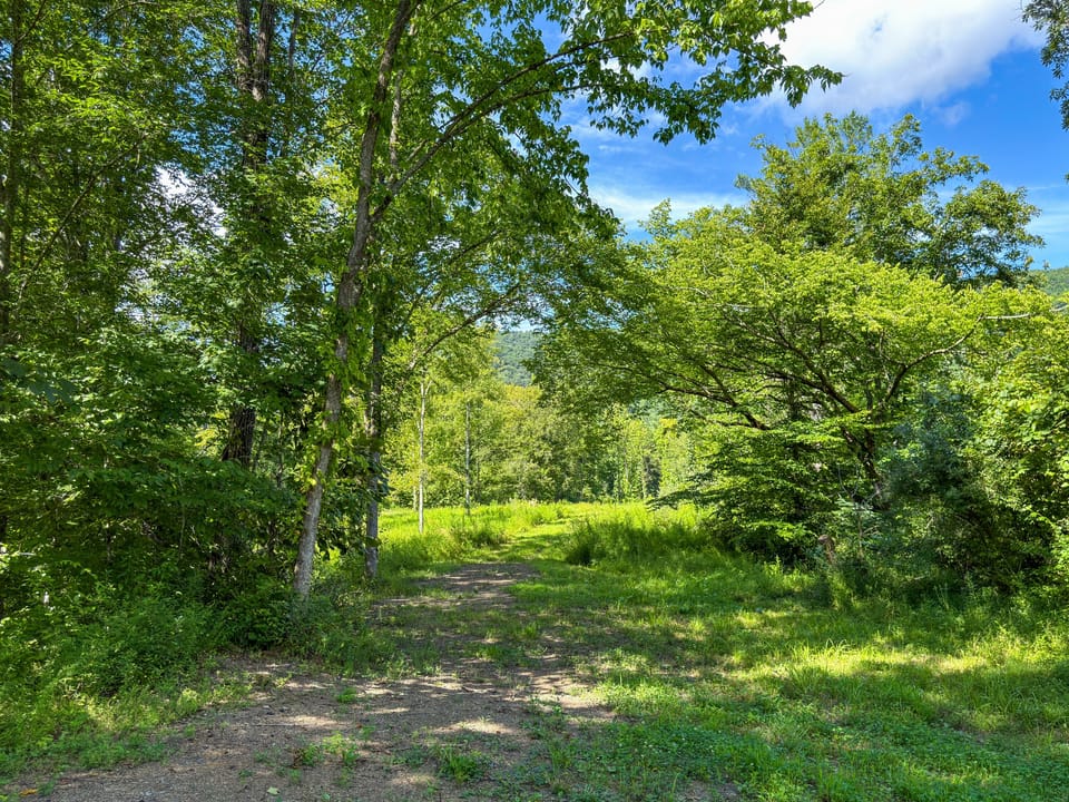 Buffalo Road Property