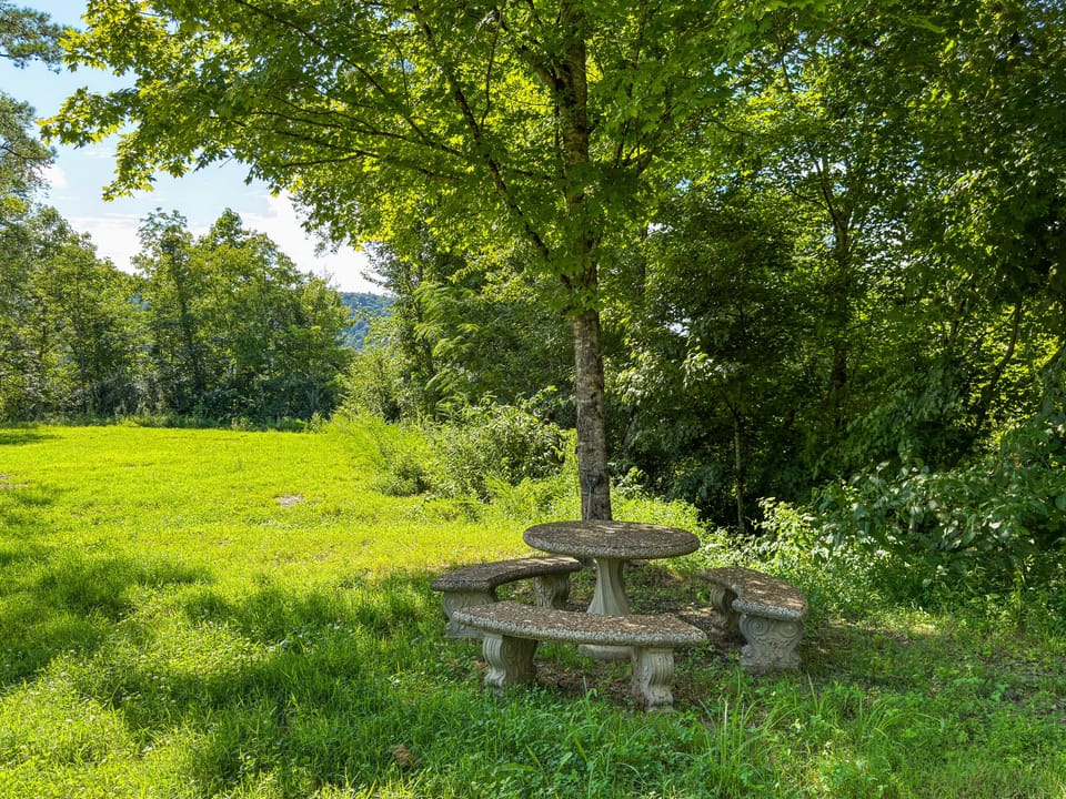 Buffalo Road Property
