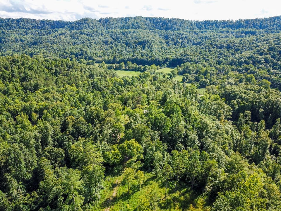 Buffalo Road Property