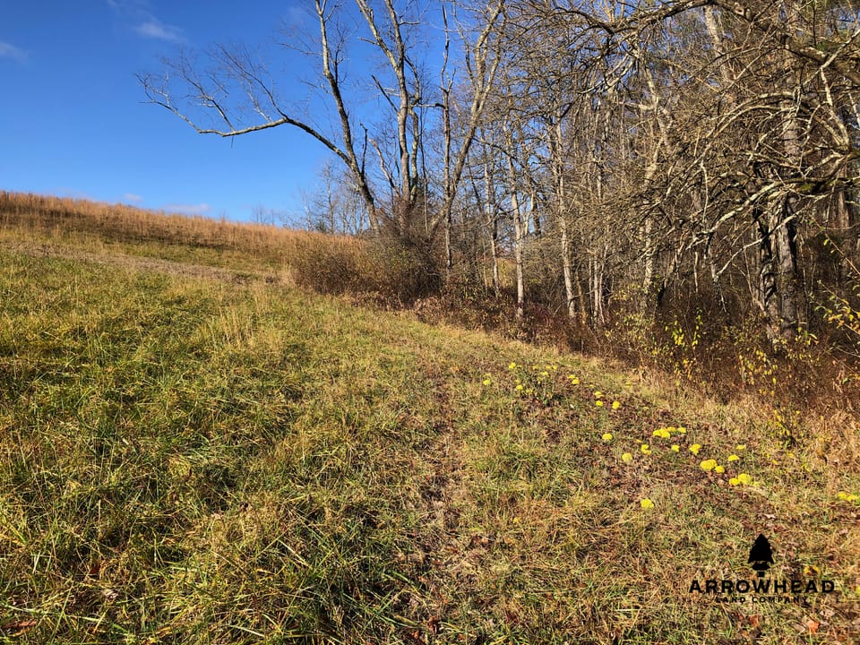Beautiful and Diverse Build Site and Recreational Property