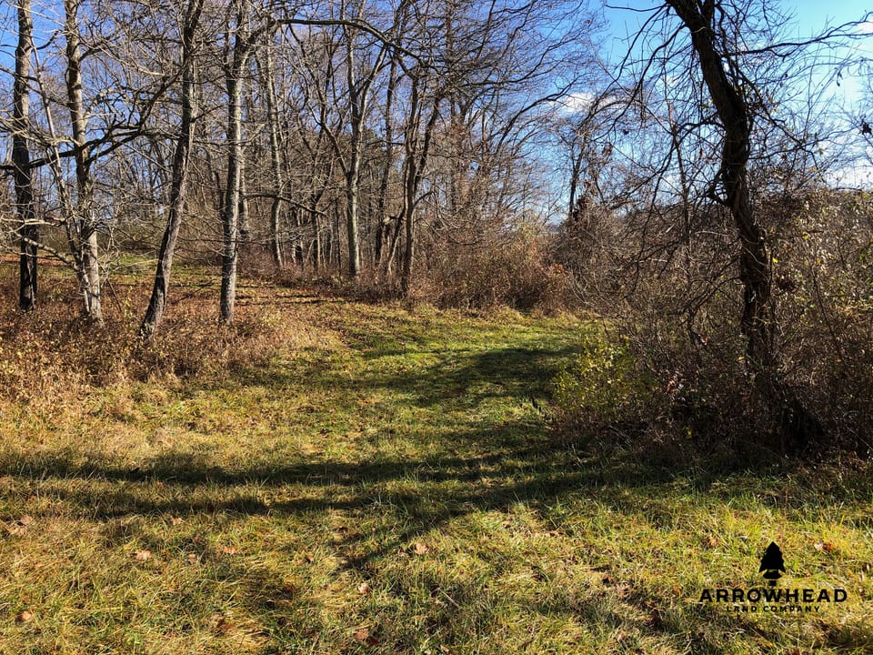 Beautiful and Diverse Build Site and Recreational Property
