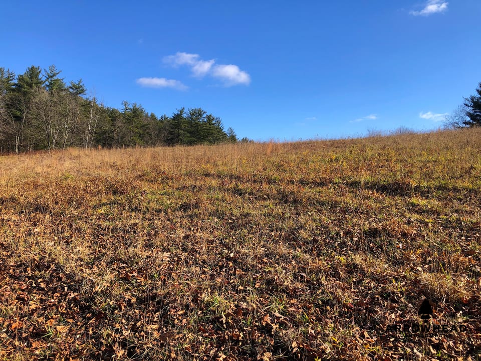 Hilltop Building and Recreational Land