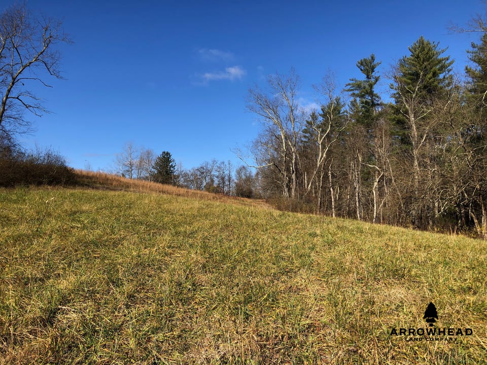 Beautiful and Diverse Build Site and Recreational Property
