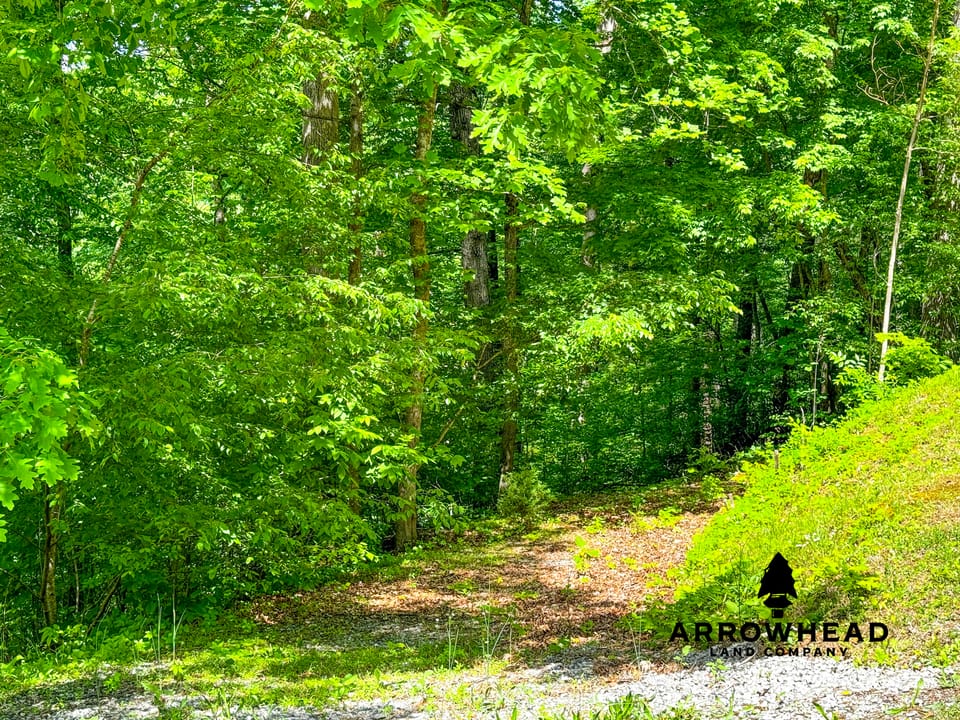Cove Norris Lake Lot