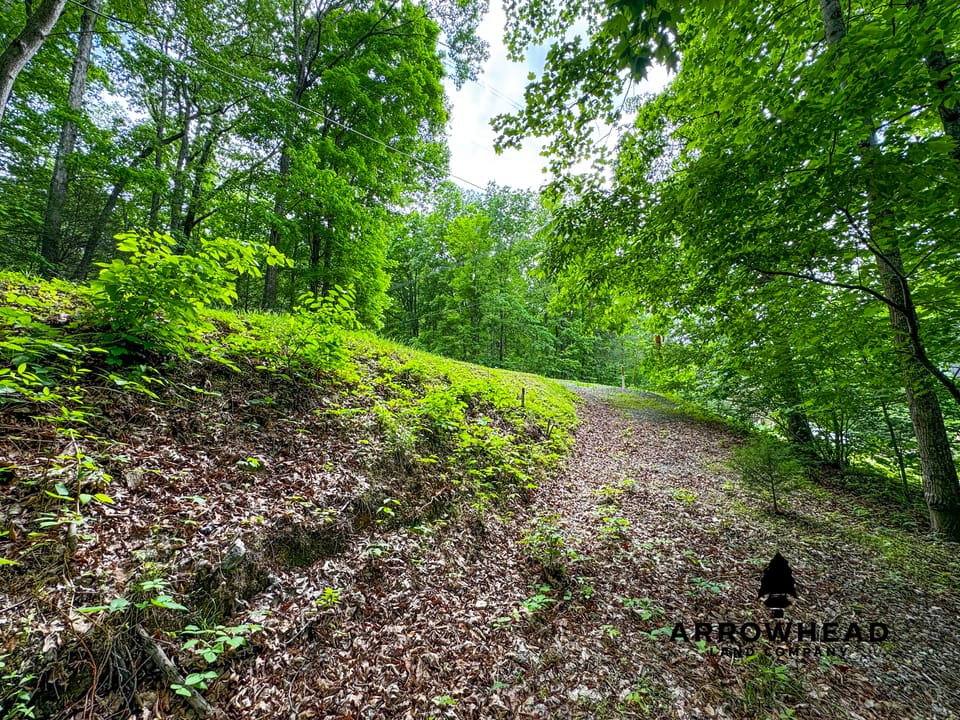 Cove Norris Lake Lot