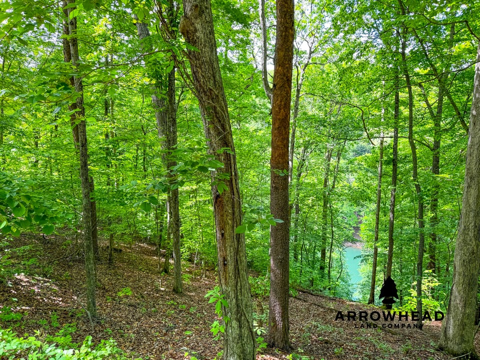 Cove Norris Lake Lot