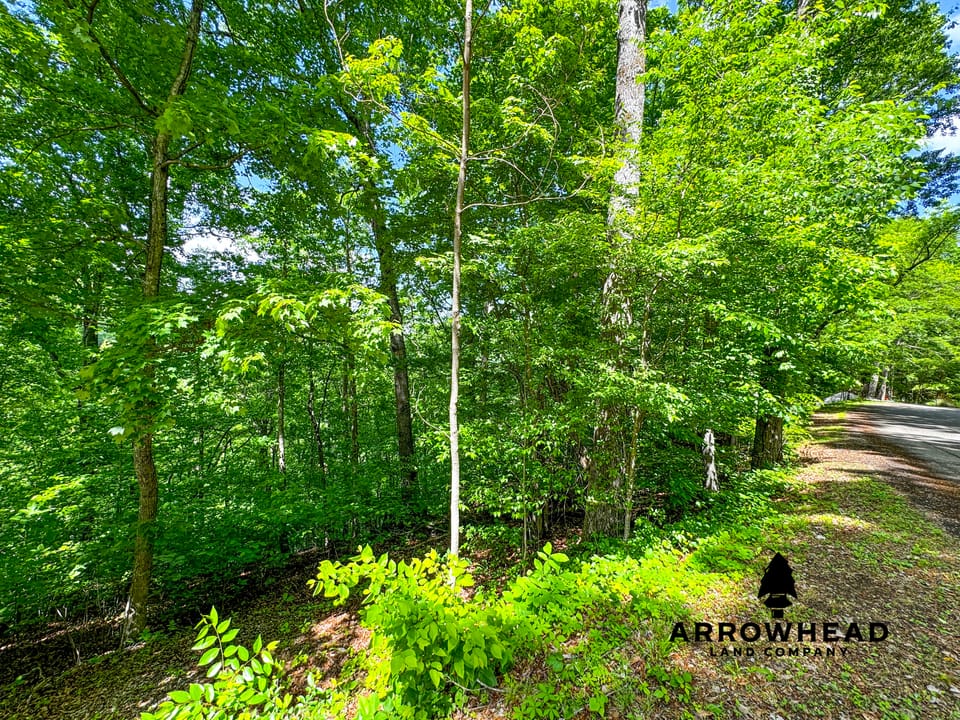 Cove Norris Lake Lot