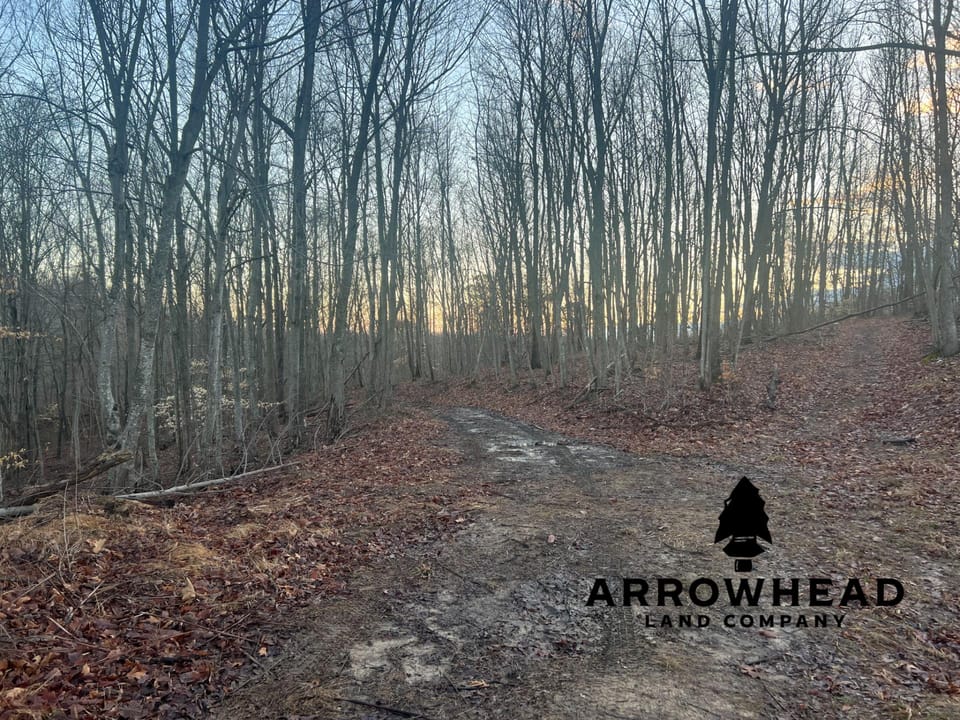 Beautiful Property in Big Buck Country With Possible Build Site.